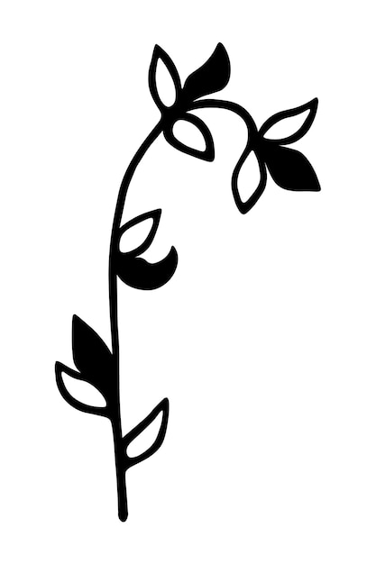 Branche unique avec des feuilles à l'encre isolé sur fond blanc Élément décoratif vectoriel dessiné à la main