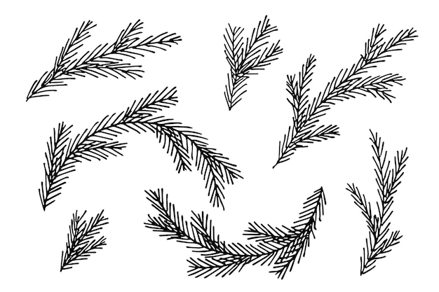 Branches d'épinette dessinées à la main Brindille de doodle de conifères ensemble Éléments de conception de Noël et d'hiver