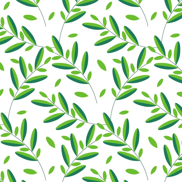 Branches avec des feuilles vertes Illustration du motif de brindille verte transparente