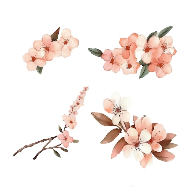 Vecteur branches de fleurs de herryillustration de sakura belles branches de sakura fleurs