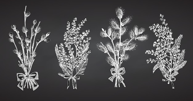 Branches de mimosa Pussy Willow ensemble Bouquet de printemps avec noeud de ruban Chalk Handdrawn croquis noir et blanc design isolé sur fond de tableau Aperçu collection de symboles dimanche Pâques Vector