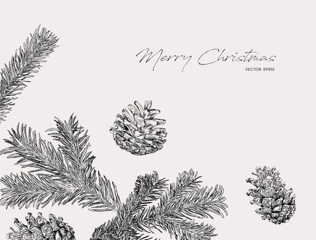 Branches Et Pommes De Pin Illustration De Noël