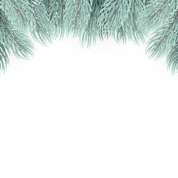 Branches réalistes de pin. Élément de conception de branches d'arbre de Noël... Sapin de Noël, cartes de voeux et bannières.