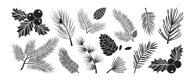 Vecteur branches vectorielles d'arbre de noël, pommes de sapin et de pin, ensemble à feuilles persistantes, icône de baies de houx, décoration de vacances, symboles d'hiver noir. illustration de la nature