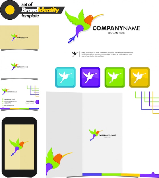 Vecteur branding bird logo template coloré