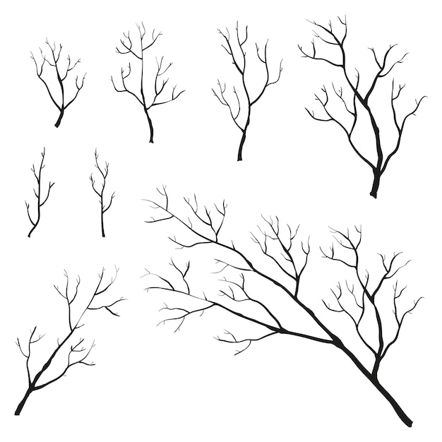 Vecteur brindilles et branches d'arbres