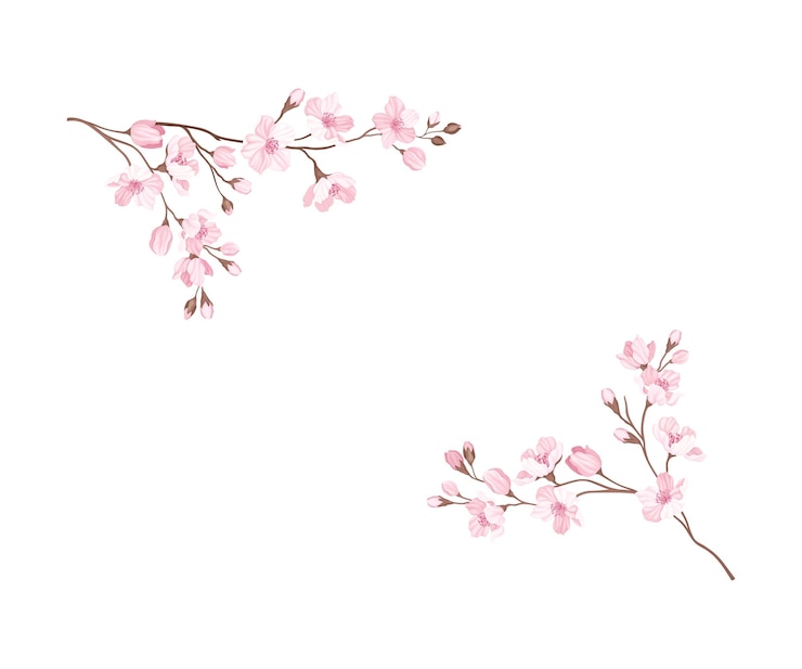 Vecteur des brindilles de sakura ou de fleurs de cerisier disposées dans des coins illustration vectorielle