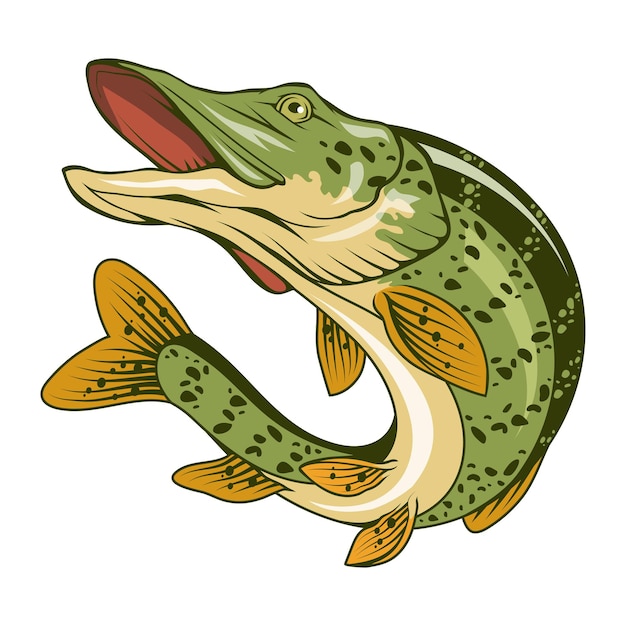 Vecteur brochet illustration vectorielle d'un poisson sautant logo de pêche poisson en colère