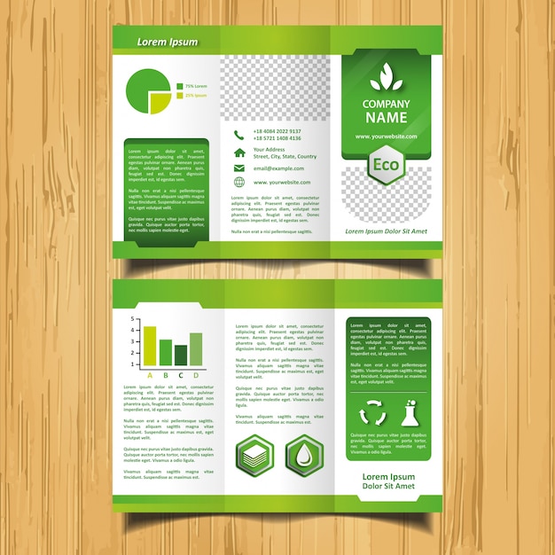 Vecteur brochure green eco trifold