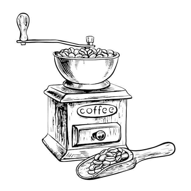 Le broyeur de café broye des grains de café Une cuillère en bois avec des graines de café Illustration vectorielle