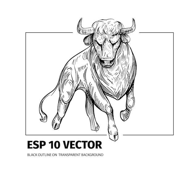 Bull Sketch Vector Illustration Contour Noir Sur Fond Transparent