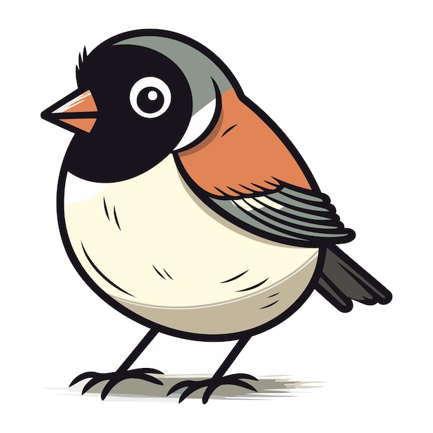 Bullfinch Sur Fond Blanc Illustration Vectorielle D'un Oiseau