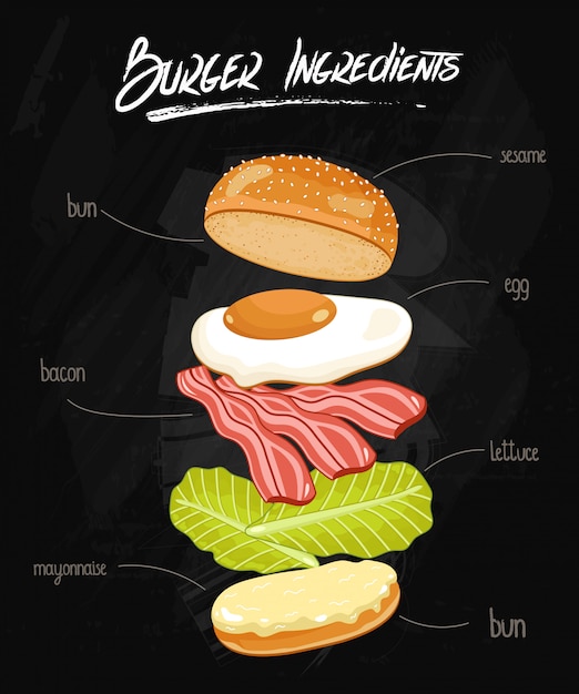 Vecteur burger ingrédients sur le tableau