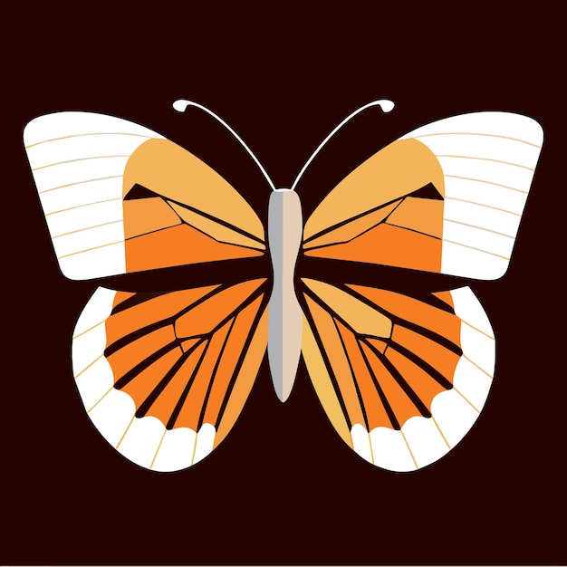 Vecteur butterfly clipart magic enrichissez votre boîte à outils créative