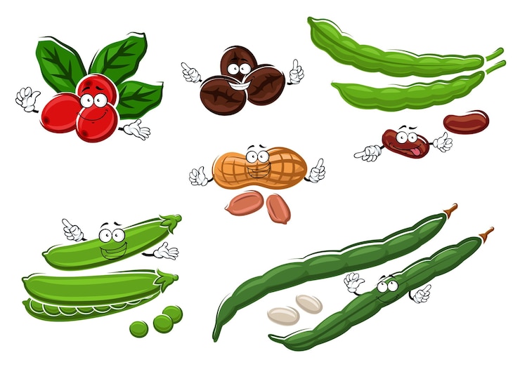 Vecteur cacahuètes de café gousses et haricots de pois verts