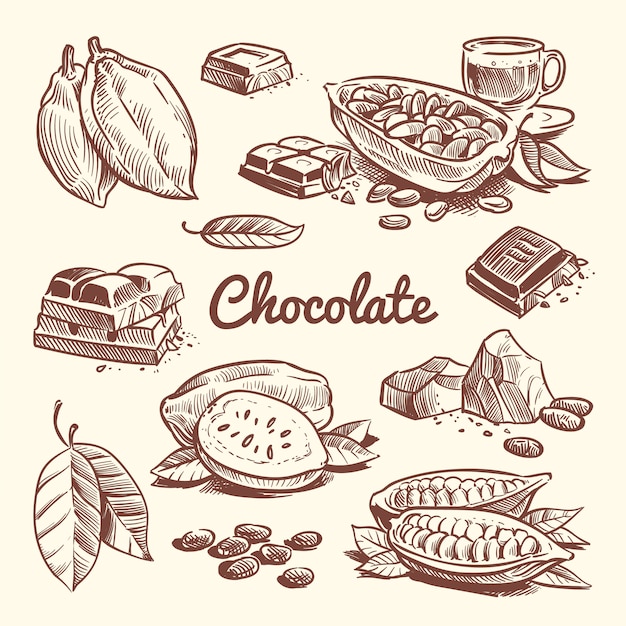 Cacao dessiné à la main, feuilles, graines de cacao, dessert sucré et barre de chocolat. Collection de vector croquis cacao