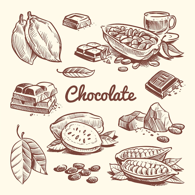 Vecteur cacao dessiné à la main, feuilles, graines de cacao, dessert sucré et barre de chocolat. collection de vector croquis cacao