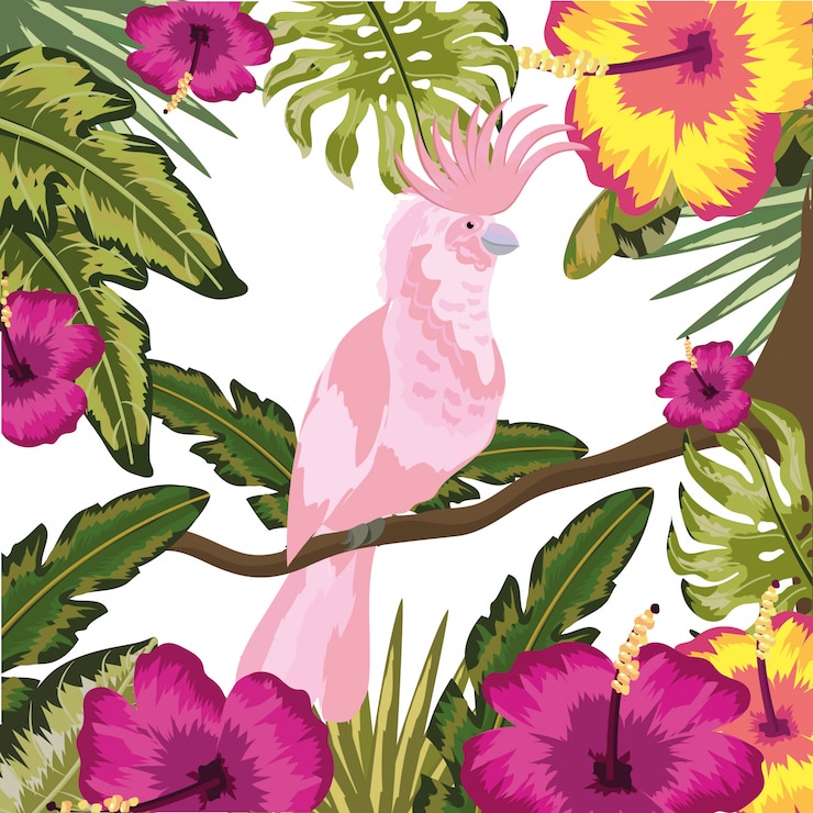 Vecteur cacatoès oiseau exotique et tropical