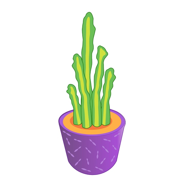 Cactus 5