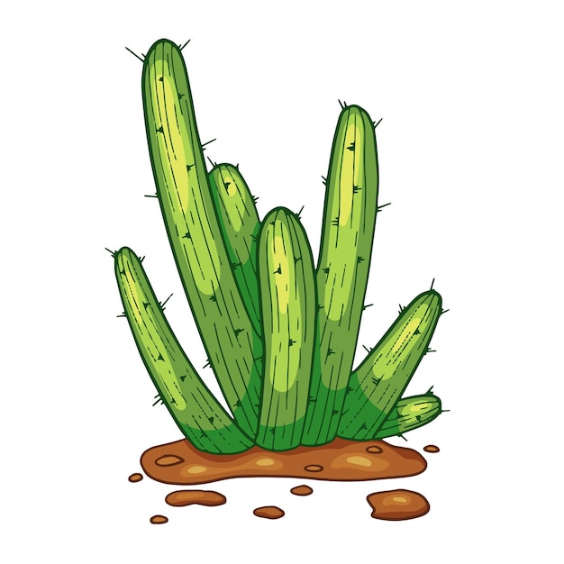 Vecteur cactus dessiné à la main de vecteur isolé sur blanc illustration de style dessin animé flay cactus mexicain plante épineuse du désert mexique fleur de cactus et plantes tropicales