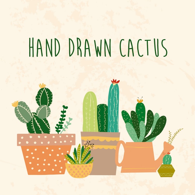 Vecteur cactus dessiné à la main