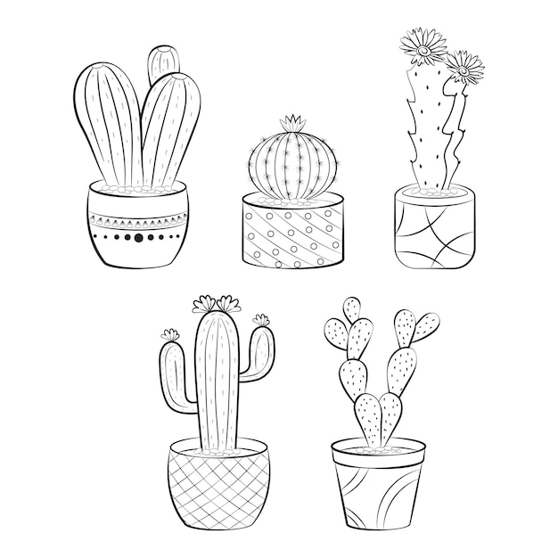 Vecteur cactus dessinés à la main et collection succulente