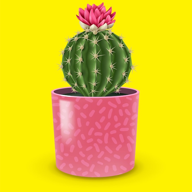 Vecteur le cactus est mignon.