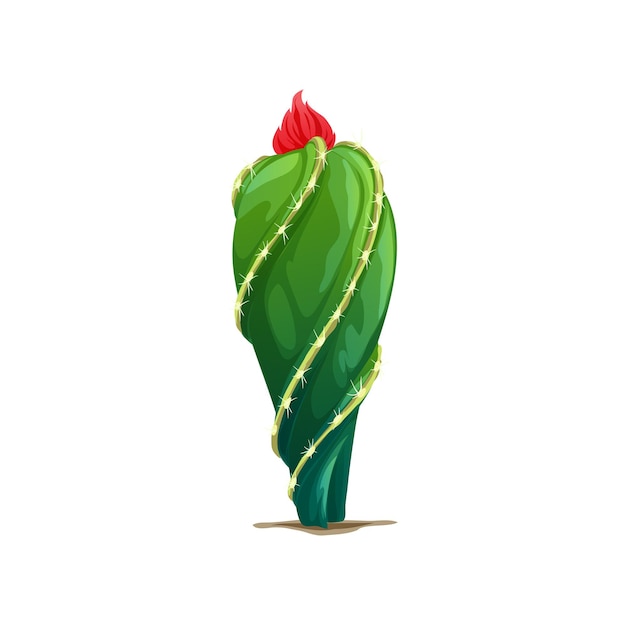 Cactus mexicain avec fleur rouge sur le dessus