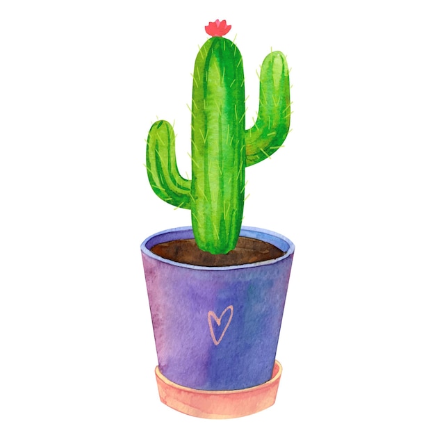 Cactus de plante maison en illustration de vecteur aquarelle pot de fleur isolé sur fond blanc