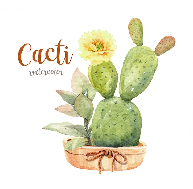 Cactus Et Plantes Succulentes Aquarelle Sertie De Pot.