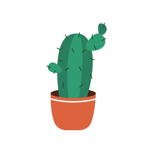 Cactus Et Plantes Succulentes Poussant Dans Des Pots Vector Collection De Cactus Et Plantes Succulentes De Plantes D'intérieur