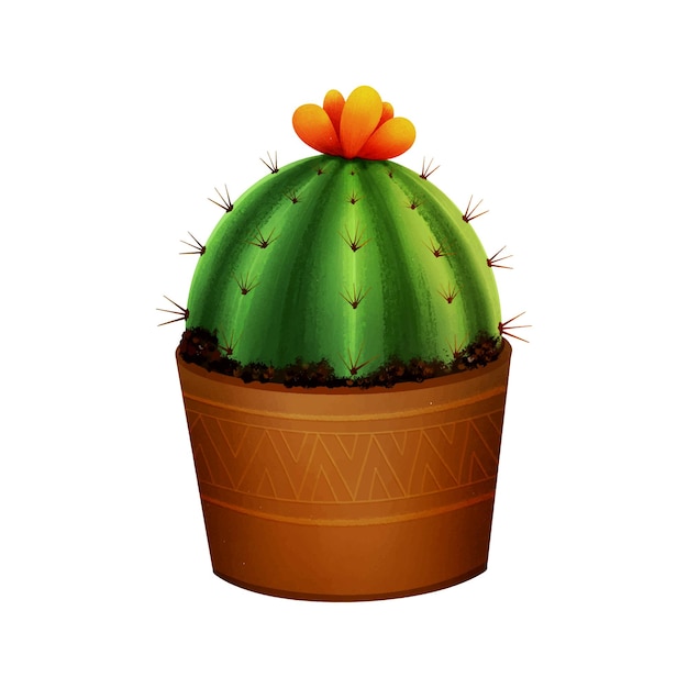 Cactus En Pot De Fleurs