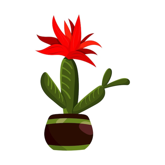 Vecteur cactus en pot