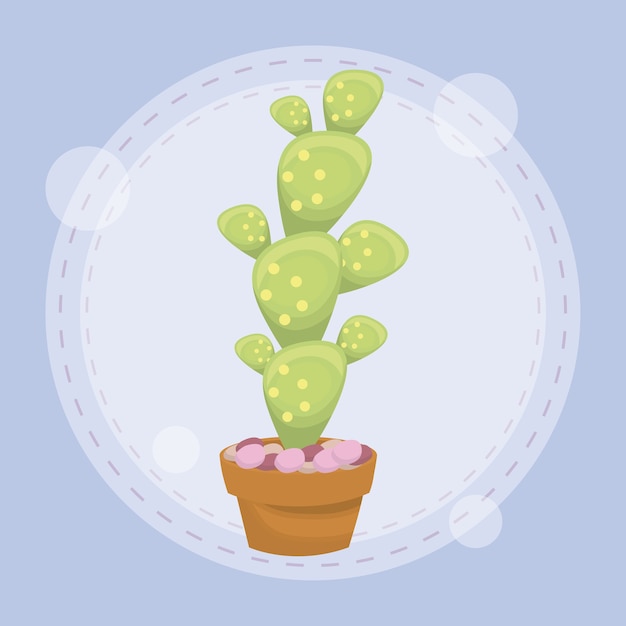 Cactus en pot