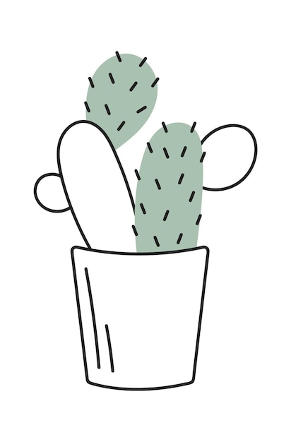 Le Cactus En Pot