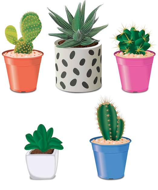 Vecteur cactus en pots