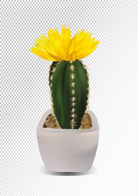 Vecteur cactus réaliste 3d avec fleur jaune.