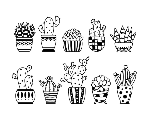 Cactus Et Succulentes Clipart Isolé Plantes En Pot éléments Contour Plantes D'intérieur Fleur En Pot