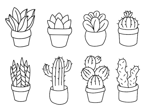 Cactus Succulentes Dans Des Pots Mis En Illustration De Contour