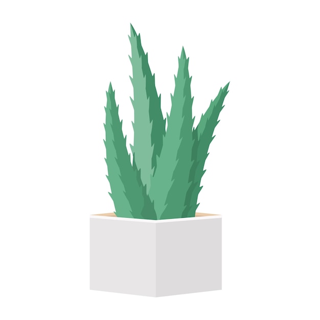 Cactus Et Succulentes En Pot Illustration Vectorielle De Dessin Animé Coloré Domestique