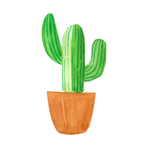 Cactus vert aquarelle élément unique vecteur en pot isolé sur fond blanc flux de plantes maison