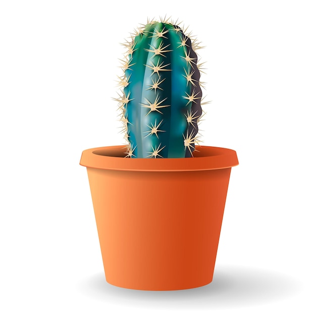 Cactus Vert Réaliste Dans Un Pot