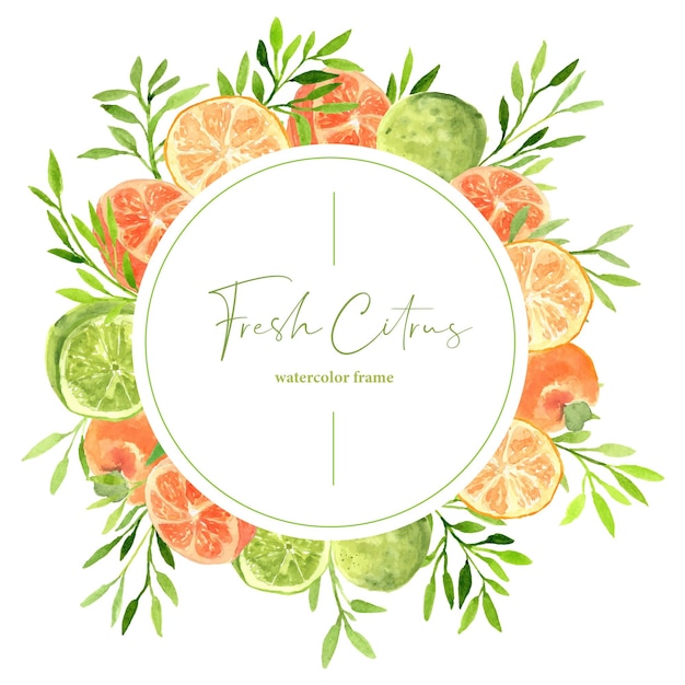 Cadre Aquarelle De Fruits Orange Frais