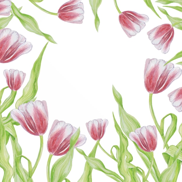 Cadre aquarelle motif tulipes