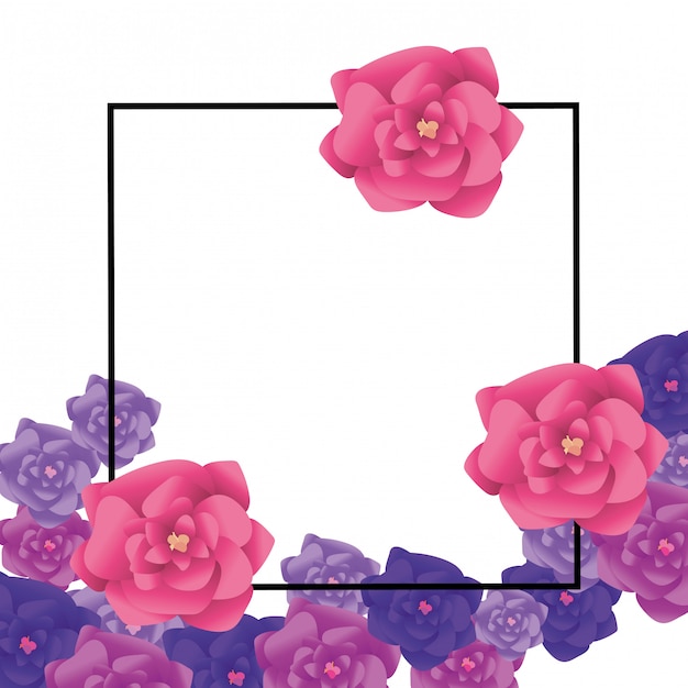 cadre d&#39;arrangement de roses