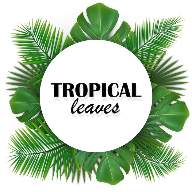 Cadre arrondi avec des feuilles tropicales vertes.