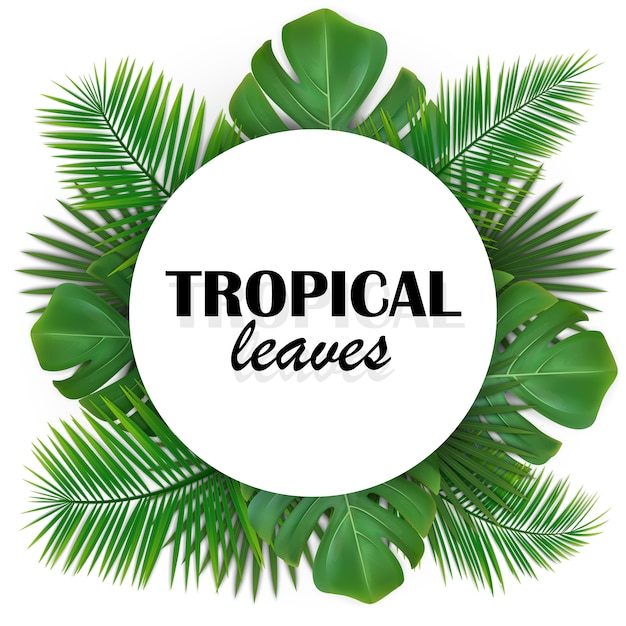 Cadre Arrondi Avec Des Feuilles Tropicales Vertes.