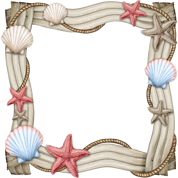cadre en bois flotté avec étoiles de mer et coquillages
