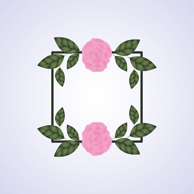 Cadre carré décoration fleurs roses