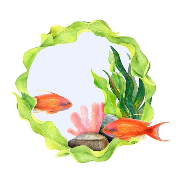 Vecteur cadre de cercle de dessin à l'aquarelle à partir de ruban incurvé, d'algues, de pierres de fond de corail et de poissons antias dorés